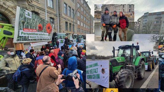 Wir haben es satt, Menschan auf Demo in Berlin