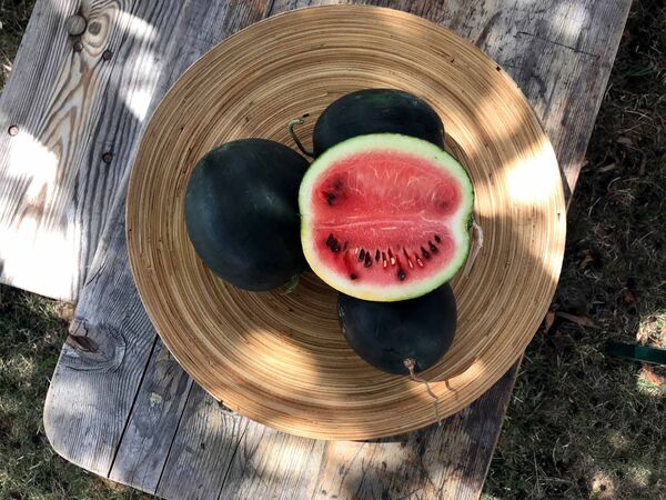 Wassermelone