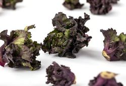 Flower Sprouts Kohlröschen