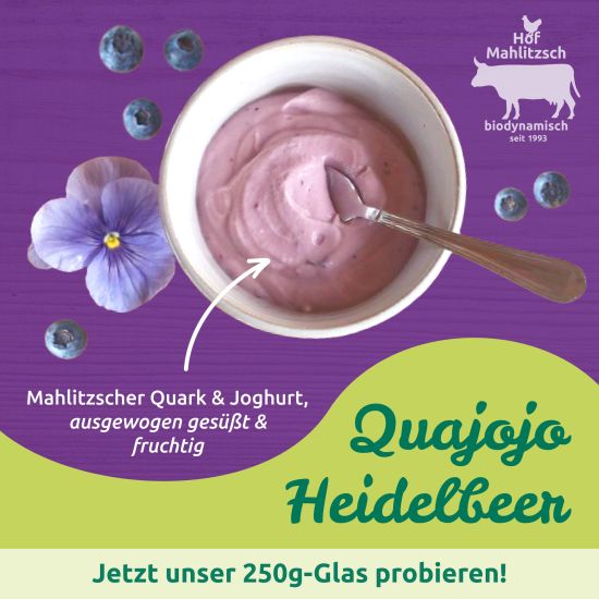 Heidelbeerquark