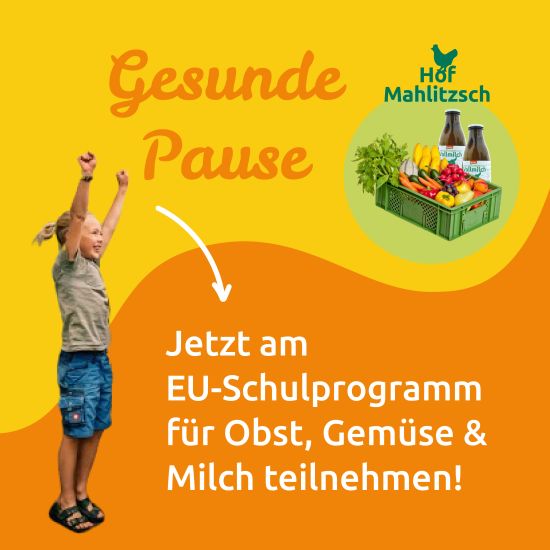 EU-Schulprogramm Mahlitzsch