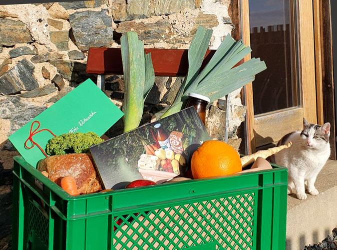 Nachhaltige Geschenkidee: ein individueller Geschenkgutschein von Hof Mahlitzsch liegt auf eine bunt gefüllten Mahlitzscher Ökokiste. Daneben sitzt eine Katze.