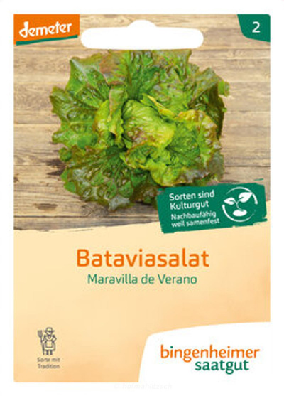 Produktfoto zu Bataviasalat - Maravilla de Verano