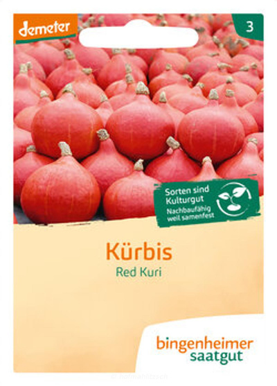 Produktfoto zu Hokkaidokürbis Red Kuri