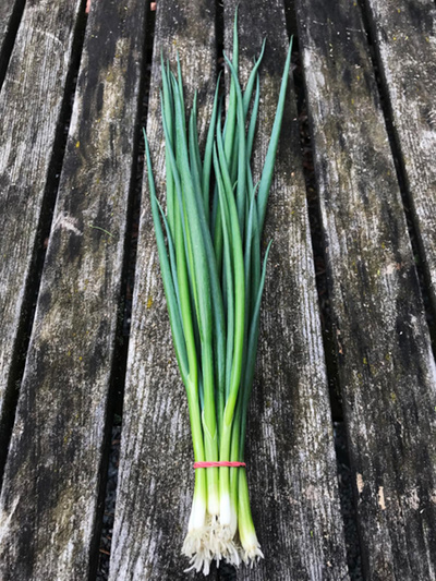 Produktfoto zu Lauchzwiebeln