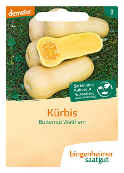 Produktfoto zu Kürbis Butternut