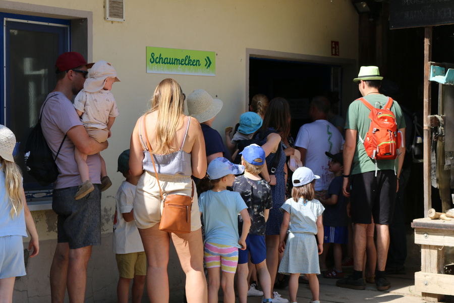 Wie kommt die Bio Milch in die Flasche? Beim Schaumelken wurde nicht nur gefragt, sondern auch verkostet.