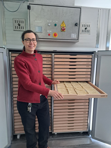 KI generiert: Eine Frau präsentiert ein Tablett mit Nudeln vor einem Automaten. Text: "HÄUSSLER" auf der Maschine.