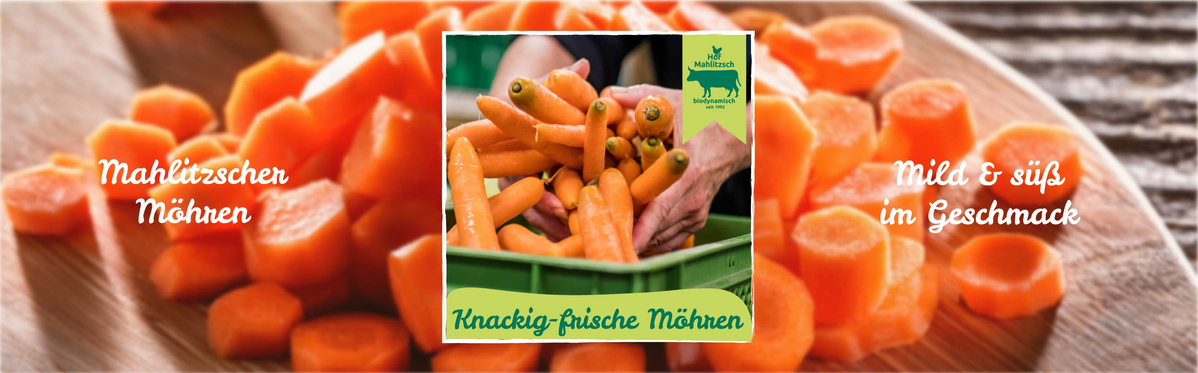 Frische Gurken: Regional & gut geschüttelt: Mahlitzscher Schüttelgurken.
