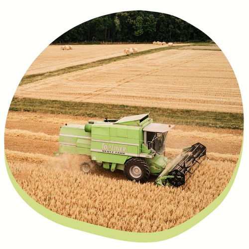 Das Bild zeigt einen grünen Mähdrescher, der ein Weizenfeld erntet. Im Hintergrund sind weitere abgeerntete Felder und runde Strohballen zu sehen.