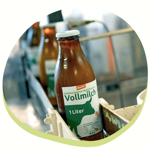 In der Hofmolkerei wird die Mahlitzscher Bio-Milch schonend veredelt.