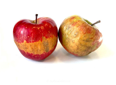 Produktfoto zu Apfel Schalenfehler - Sorte nach saisonaler Verfügbarkeit