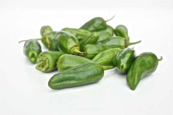 Produktfoto zu Bratpaprika Pimientos de Padron - Kurz gegrillt mit Meersalz & Olivenöl eine echte Delikatesse