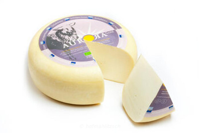 Produktfoto zu Aurora Gold Schafsgouda - junger Gouda mit feinem Mandelaroma