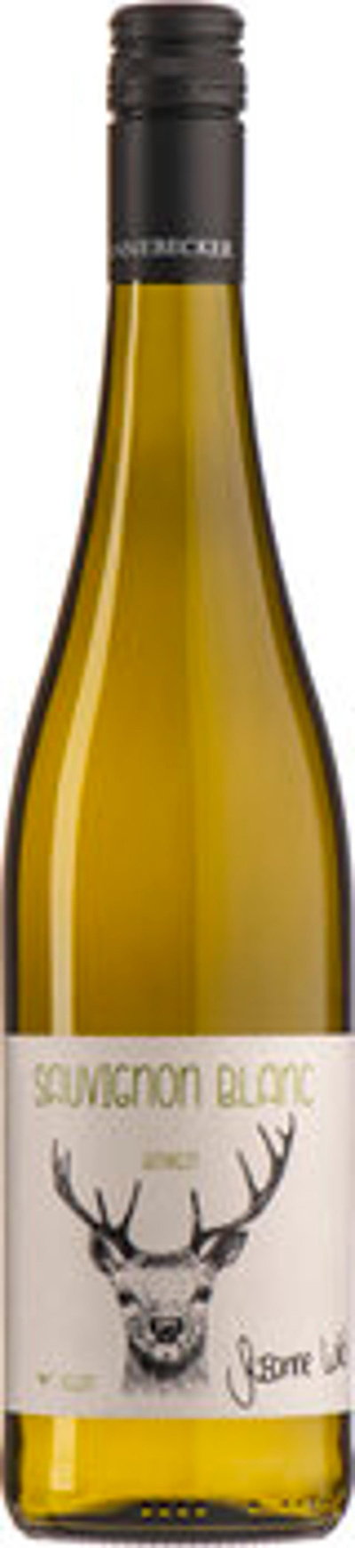 Produktfoto zu Susanne Wild Sauvignon