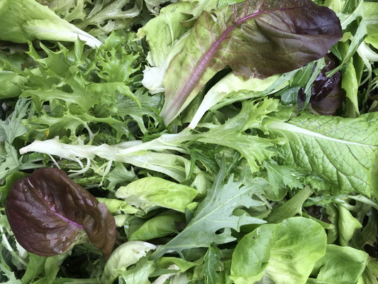 Hof Mahltisch hat wieder leckeres Bio Osterbrot im Sortiment. Wir liefern es direkt nach Hause, wenn ihr in Dresden, Meißen, Nossen oder Freiberg wohnt. 