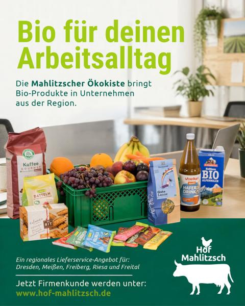 Ökokiste mit Gemüse, Brot, Milch und Naturwaren