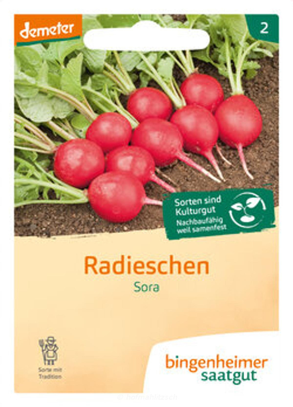 Produktfoto zu Radieschen Sora