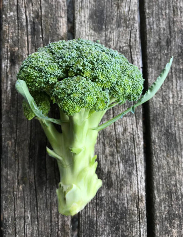 Produktfoto zu Brokkoli