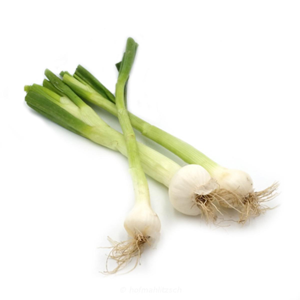 Produktfoto zu Lauchzwiebel