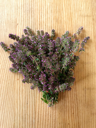 Produktfoto zu Thymian