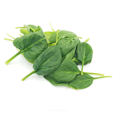 Produktfoto zu Babyspinat lose