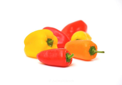 Produktfoto zu Minipaprika Mix - süßer kleiner Paprika zum Snacken