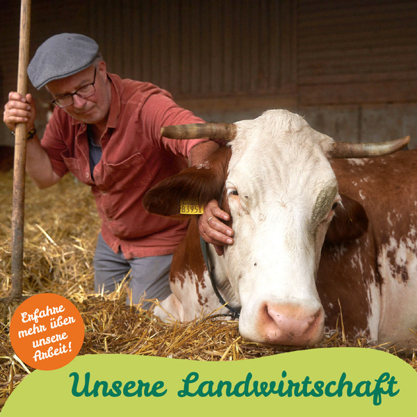 Familie mit Kindern steht vorm Haus und bestaunt Produkte aus Mahlitzscher Ökokiste