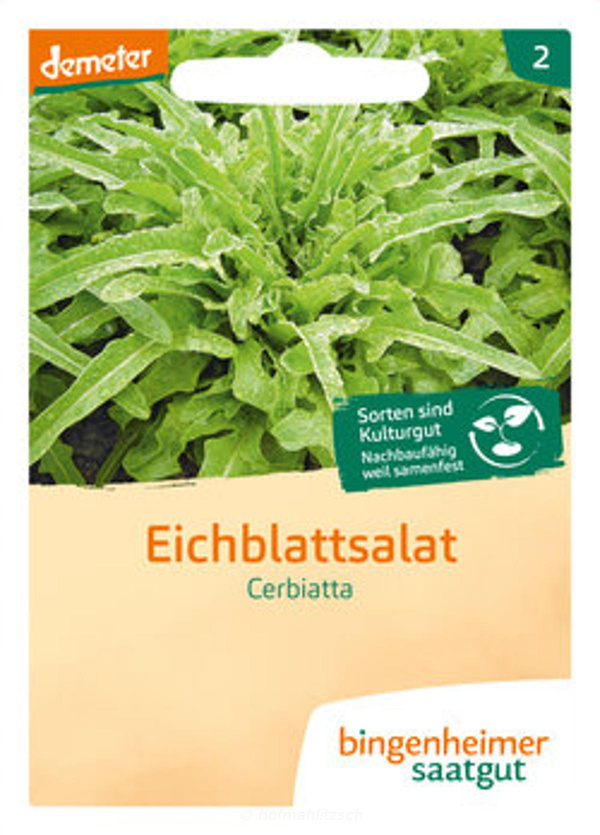 Produktfoto zu Eichblattsalat Cerbiatta