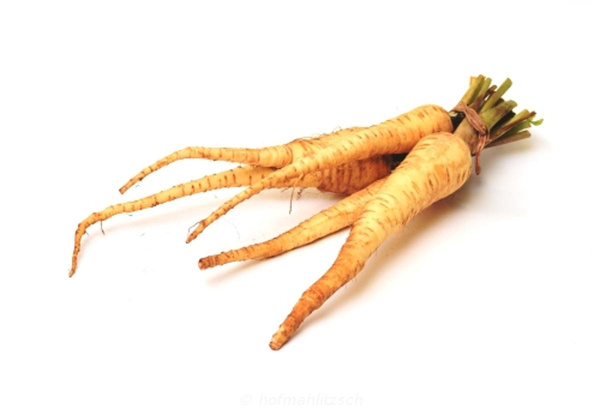 Produktfoto zu Wurzelpetersilie