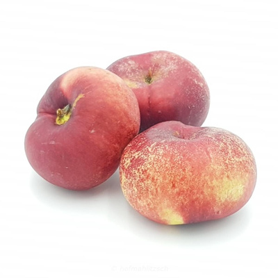 Produktfoto zu Weinbergnektarine