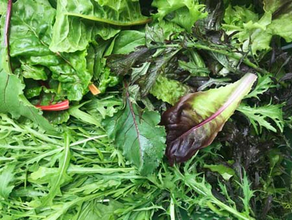 Produktfoto zu Salatüberraschung (Mahl.)