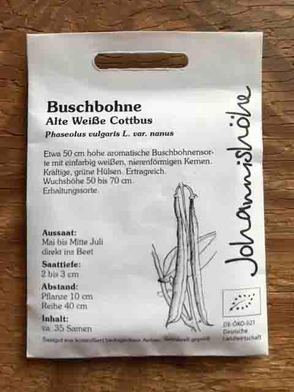 Produktfoto zu Buschbohne Alte weiße Cottbus
