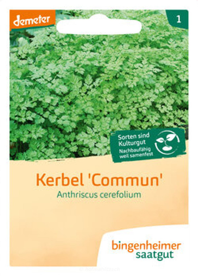 Produktfoto zu Kerbel
