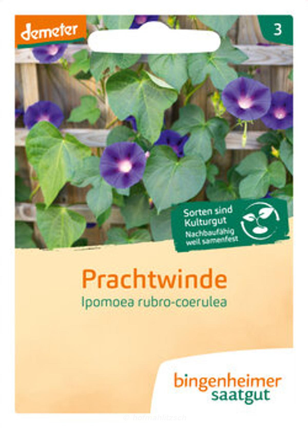 Produktfoto zu Prachtwinde