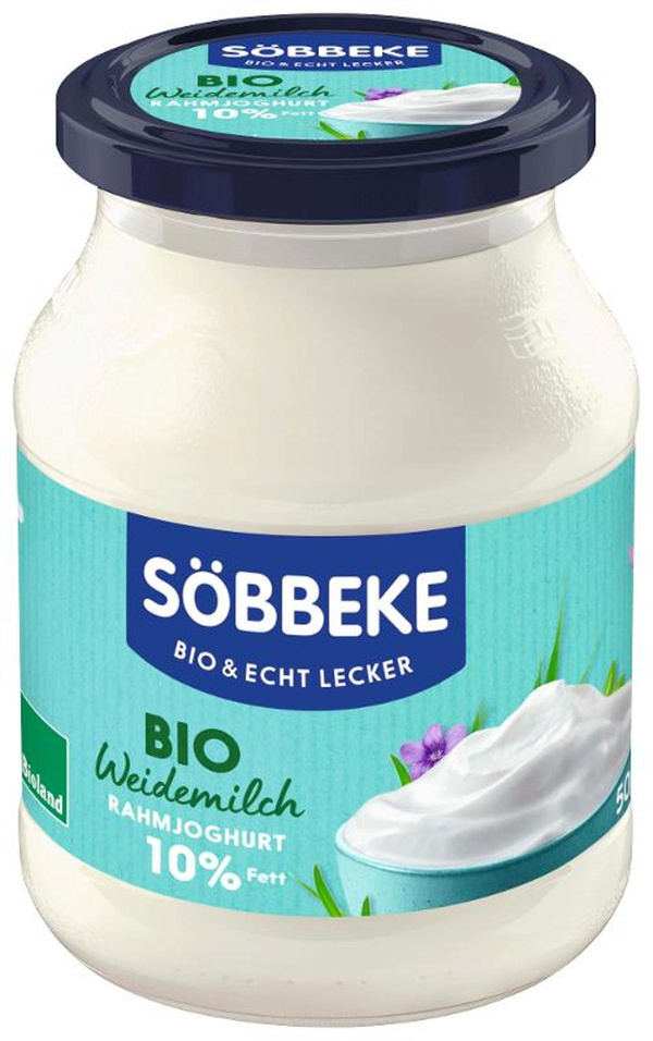 Produktfoto zu Rahmjoghurt natur 10% Fett