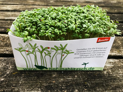 Produktfoto zu Rucola Kresse