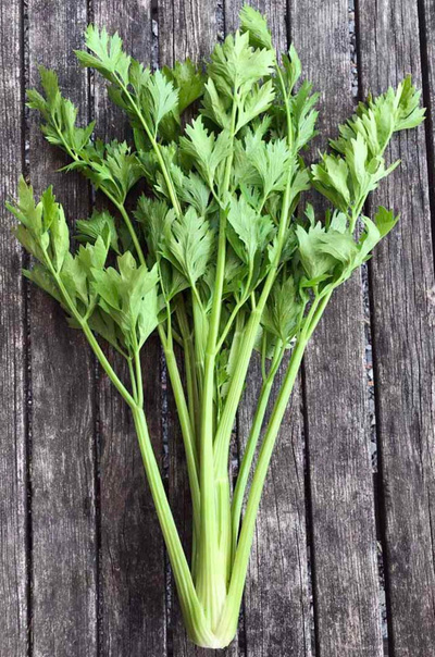 Produktfoto zu Staudensellerie