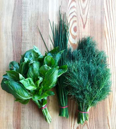 Produktfoto zu Kräuterüberraschung -  Schnittlauch, Blattkoriander, Schnittknoblauch, Petersilie oder Dill