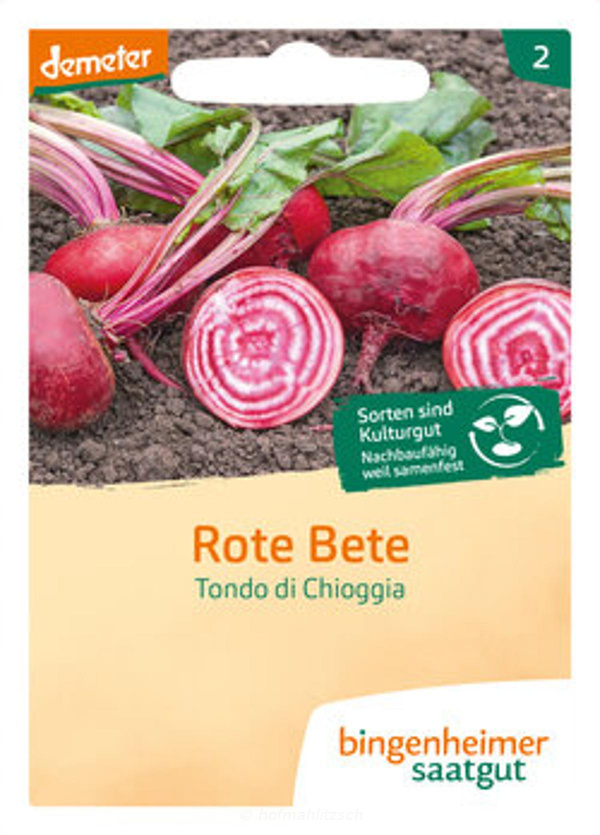 Produktfoto zu Rote Bete Tondo di Choggia