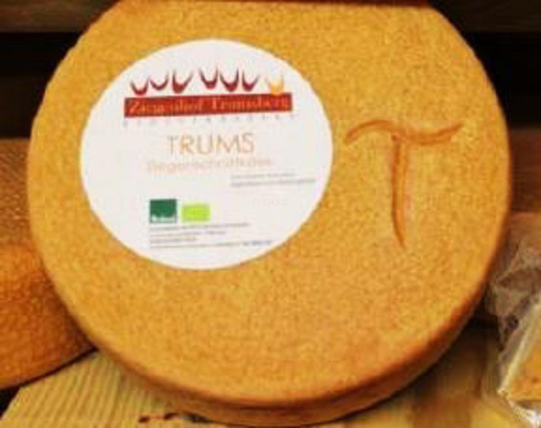 Produktfoto zu Ziegenkäse Trums - Rohmilchkäse, fein aromatisch mit edler Ziegennote