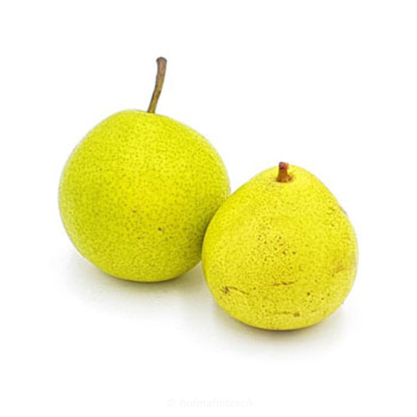 Produktfoto zu Nashi-Birne