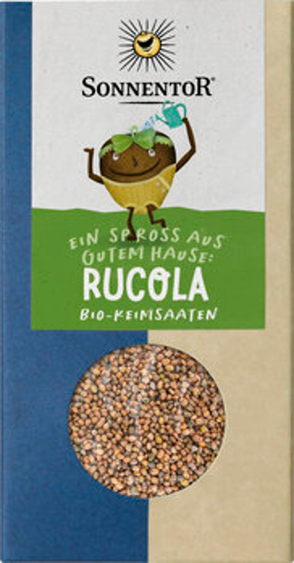 Produktfoto zu Rucola Keimsaat