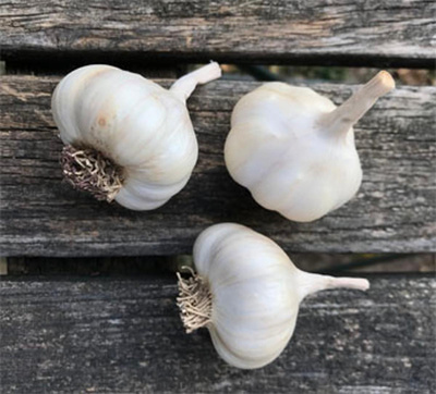 Produktfoto zu Knoblauch getrocknet