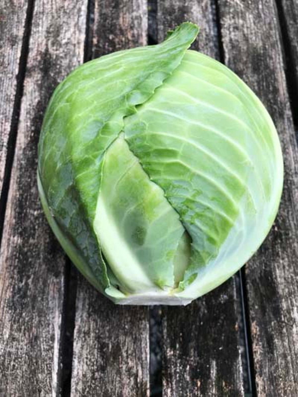 Produktfoto zu Weißkohl