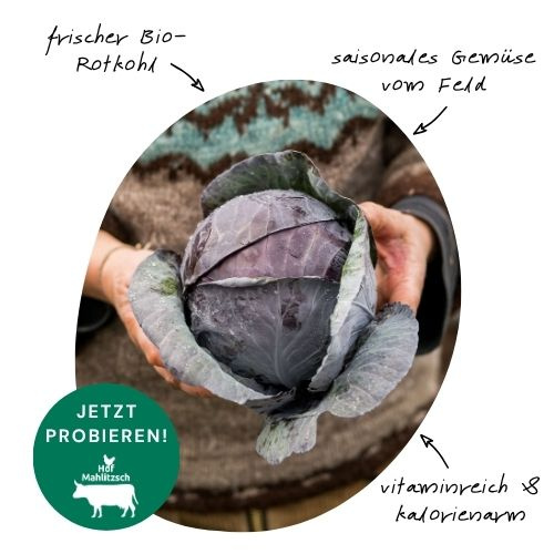 Bio-Bratpaprika aus deiner dresdner Region. Frisch, knackig, vielleicht scharf...