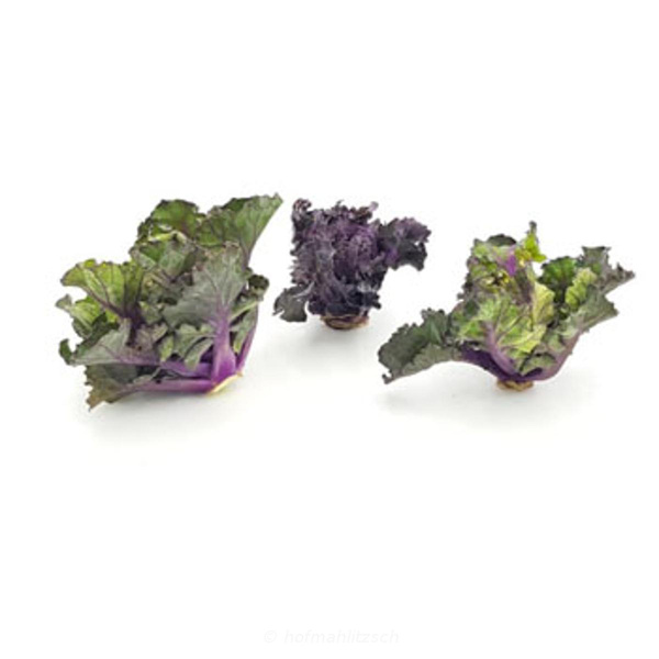 Produktfoto zu Flower Sprouts - solange der Vorrat reicht!
