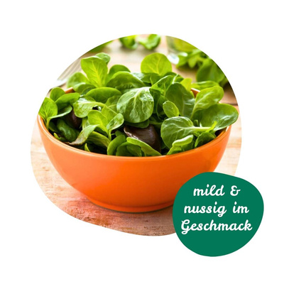 Unser regionaler Feldsalat schmeckt mild & nussig.