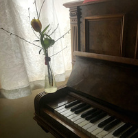 Klavier Hof Mahlitzsch