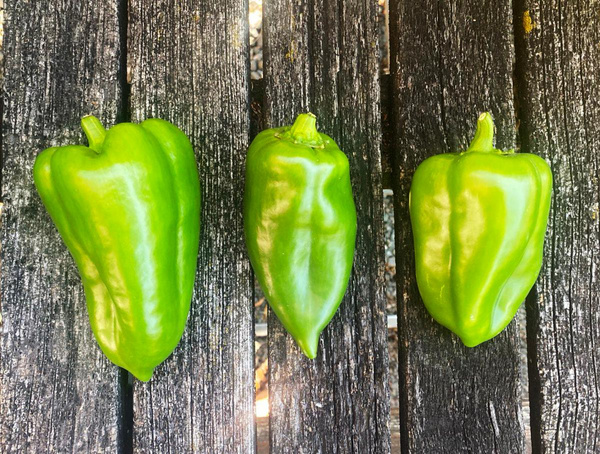 Produktfoto zu Spitzpaprika grün